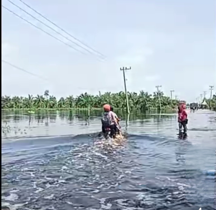 Pelalawan Terparah! Banjir Riau Meluas, Ribuan Warga Mengungsi