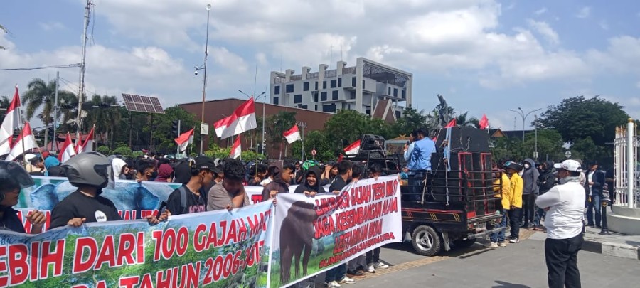 Aksi Damai di Kantor Gubernur Riau, Massa Tuntut Penyelamatan Tesso Nilo