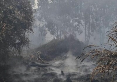 Musim Kemarau, 52 Hotspot Terpantau di Sumatera, Terbanyak di Riau 20 Titik