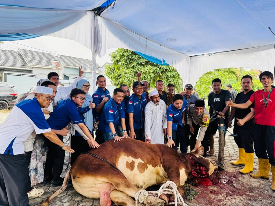 Disaksikan Wakil Ketua DPRD Pekanbaru, H Fathullah Sembelih Sapi Kurban Seberat 1,2 Ton