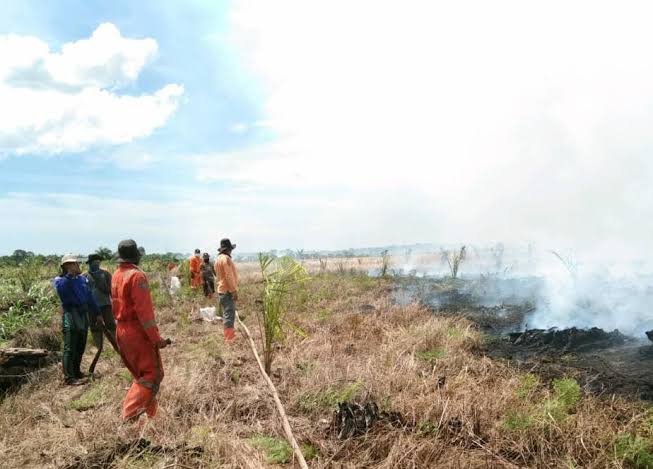 Pj Gubri Tetapkan Status Darurat Karhutla Hingga November 2024