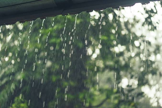BMKG Ingatkan Cuaca Ekstrem dan Lonjakan Titik Panas di Riau Hari Ini