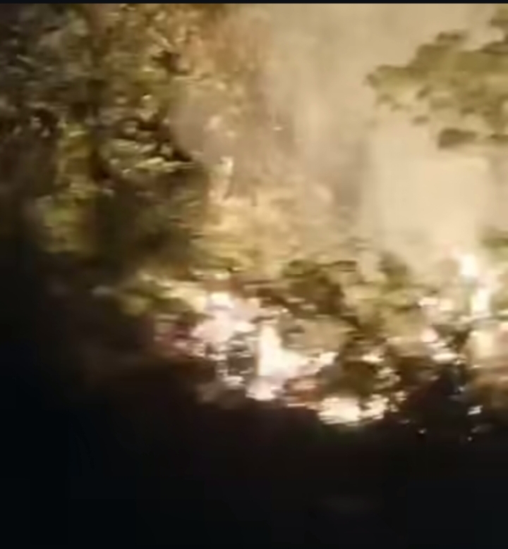 Karhutla Riau Meluas, 646 Hektar Lahan Terbakar, Dominasi di Pesisir dan Lahan Gambut