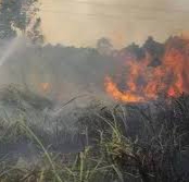 Puluhan Titik Panas Membara di Riau, Terbanyak di Inhil