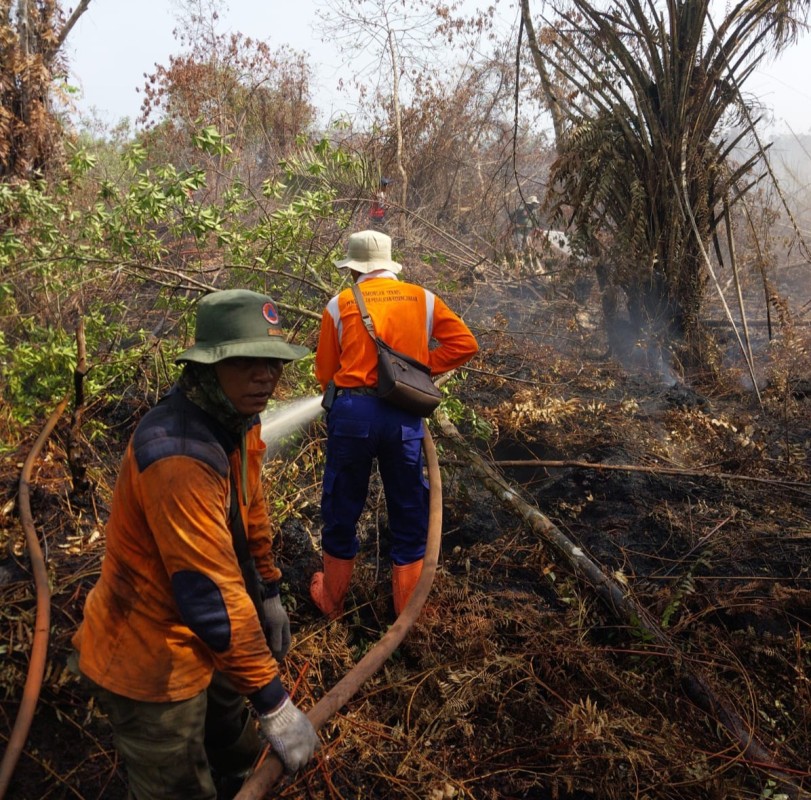 Dugaan Pembakaran Sengaja Muncul di Balik Kebakaran Lahan Pelalawan