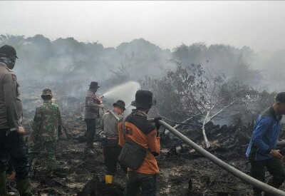 Karhutla di Rohil Berdekatan dengan Kebun Sawit Perusahaan, Aparat Selidiki Penyebabnya 
