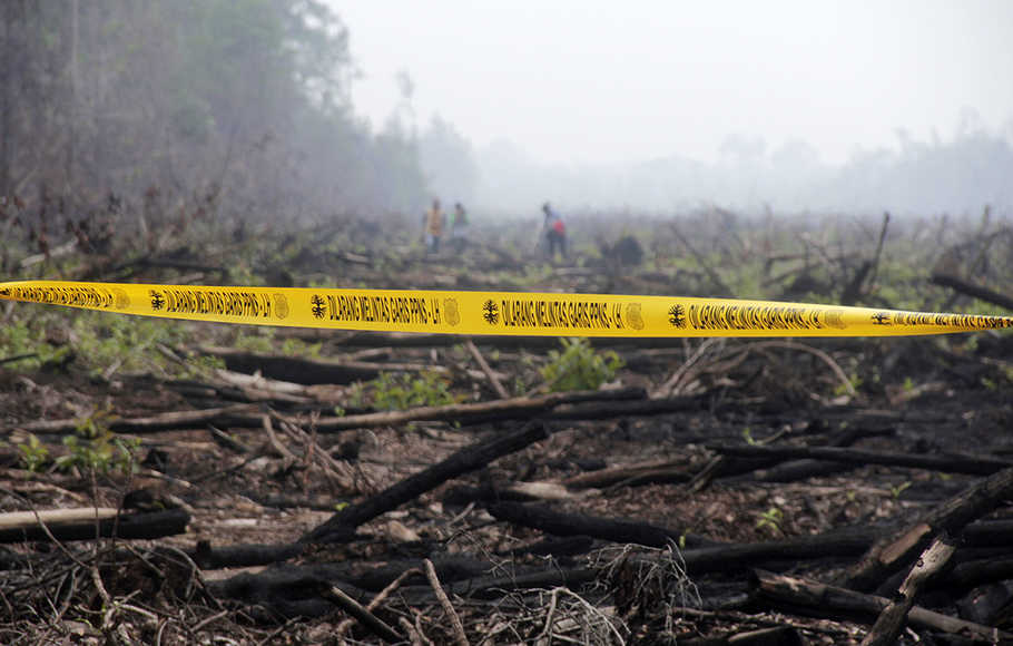 BMKG Peringatkan Ancaman Karhutla Meski Kemarau Basah 