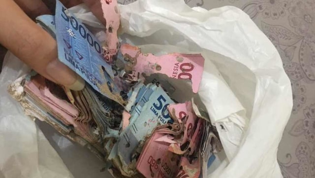 Apes, Uang Simpanan Jutaan Rupiah Dimakan Rayap