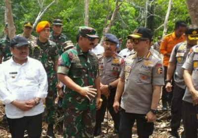 Panglima TNI: Tak Terlihat Lagi Api Karhutla di Rupat