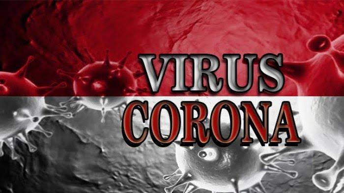 Seluruh Provinsi di Indonesia Terjangkit Corona
