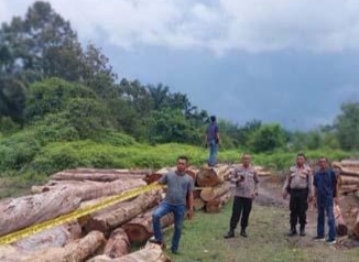 Sopir Truk Pembawa Kayu Ilegal di Kebun Durian Ditangkap Polisi
