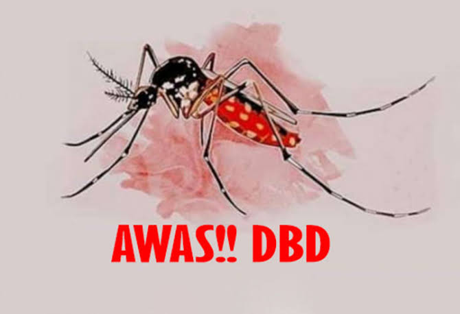 Waspada! Diskes Pekanbaru Temukan 9 Kasus DBD di Awal Tahun2023