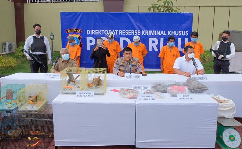 Kasus Penjualan Satwa Langka Masih Dalam Penyidikan Polda Riau