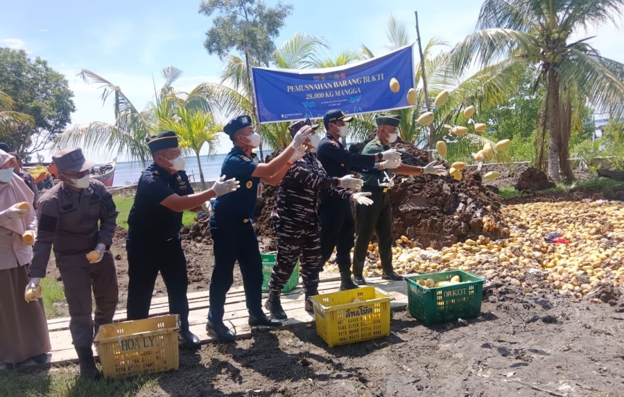 Gagal Selundupkan 28 Ton Mangga Thailand, Nakhoda KM Zulfa 03 Terancam 10 Tahun Penjara