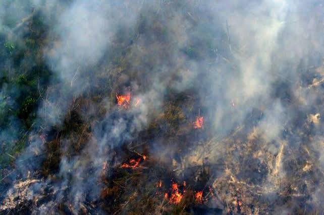 Puluhan Titik Panas Masih Membara di Riau