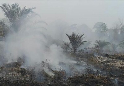 Hotspot Meningkat, Hari Ini Riau Terdeteksi 27 Titik