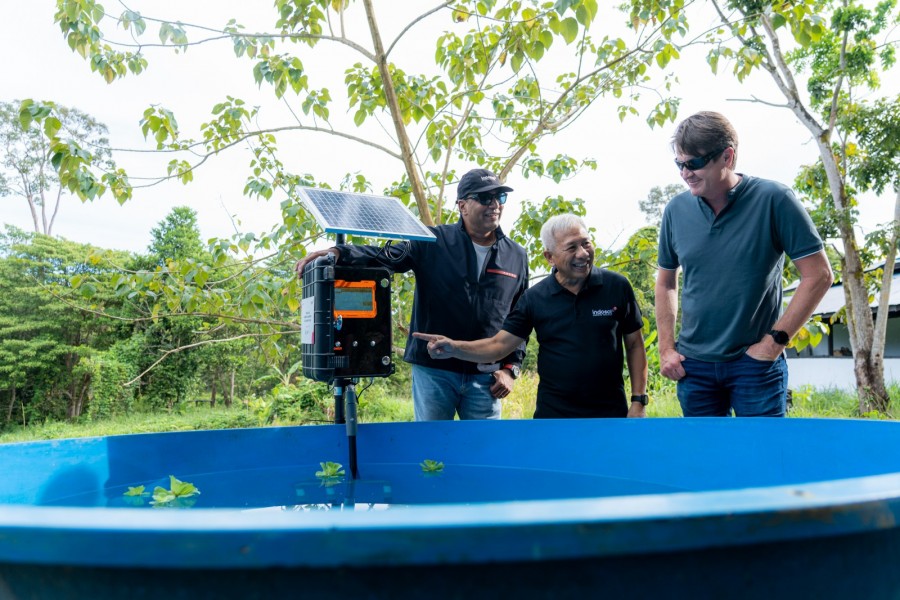 Indosat dan GSMA Kolaborasi  Program Digitalisasi Konservasi Mangrove