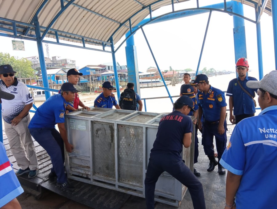 BBKSDA Riau Pasang Perangkap untuk Evakuasi Harimau Inhil