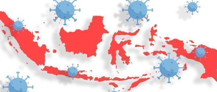 Bertambah 4.917 Kasus, Total Positif Corona Jadi 516.753