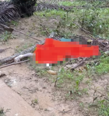 Penemuan Mayat di Kebun Sawit Gegerkan Warga Sungai Langsat Pangean
