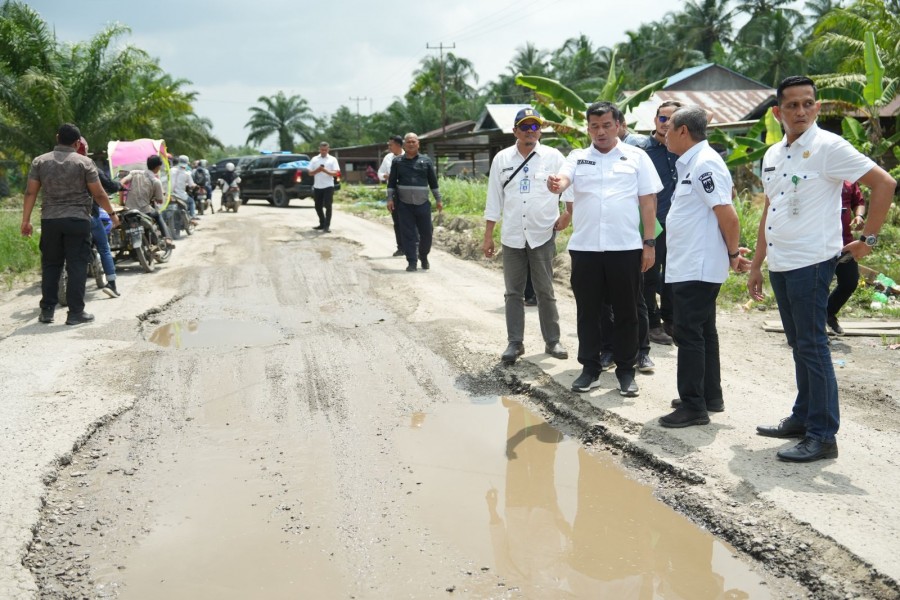 Gubri Syamsuar Tinjau Langsung Jalan Rusak di Sinaboi