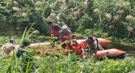 Pria di Rohil Tewas Diterkam Buaya Saat Mencari Rumput