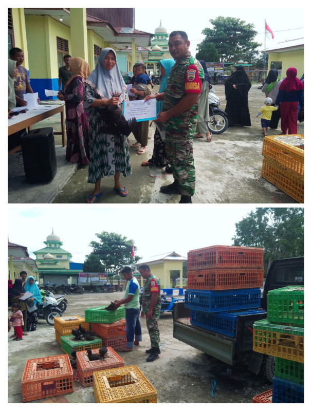 Babinsa Bantu Salurkan 500 Ekor Bibit Ayam pada Warga Tanah Tinggi