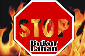 Musim Kemarau, Warga Pekanbaru Diimbau Tak Bakar Lahan