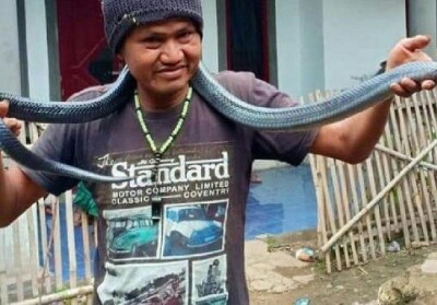 Ular Sanca Berat 17 Kg Lilit Tuannya hingga Tewas saat Dimandikan