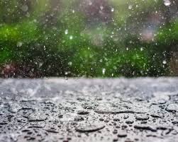 Hujan Warnai Langit Riau Hari Ini, Waspadai Cuaca Ekstrem!