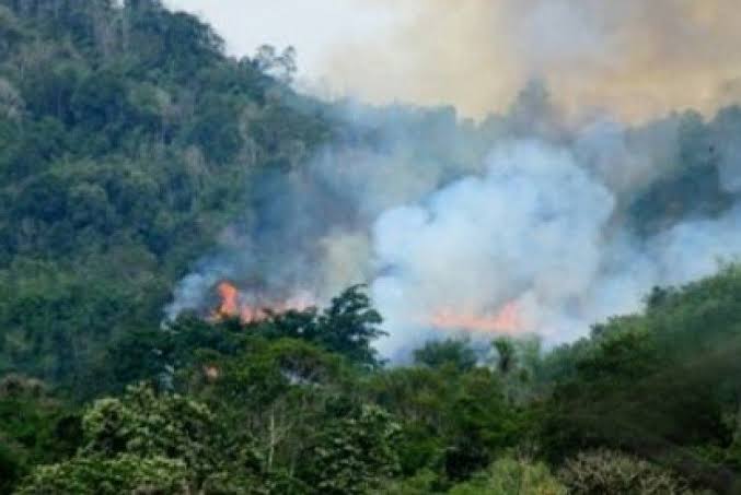 BMKG Deteksi 8 Titik Panas di Riau, Waspadai Cuaca Ekstrem di Sejumlah Wilayah