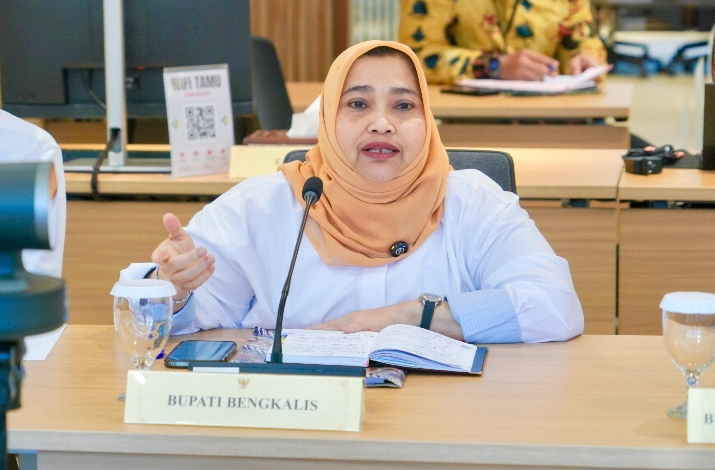 Kesehatan untuk Semua, Bupati Bengkalis Sampaikan Aspirasi ke Kemenkes RI