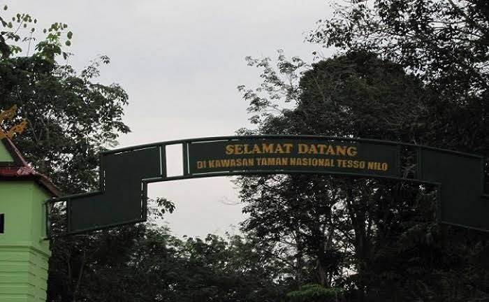 Selamatkan TNTN, Pemprov Riau Bentuk Satgas TP4, Siapkan Langkah Tegas dan Solusi Berkeadilan