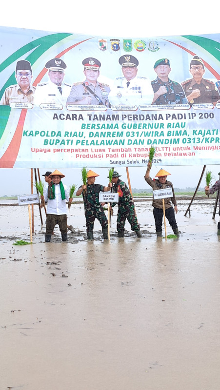 Pemkab Pelalawan Bangun Tanggul di Pulau Mendol Dukung Program Padi IP200