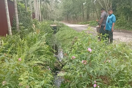 Penangkaran Arwana Diduga Picu Masalah Air Bersih di Bengkalis