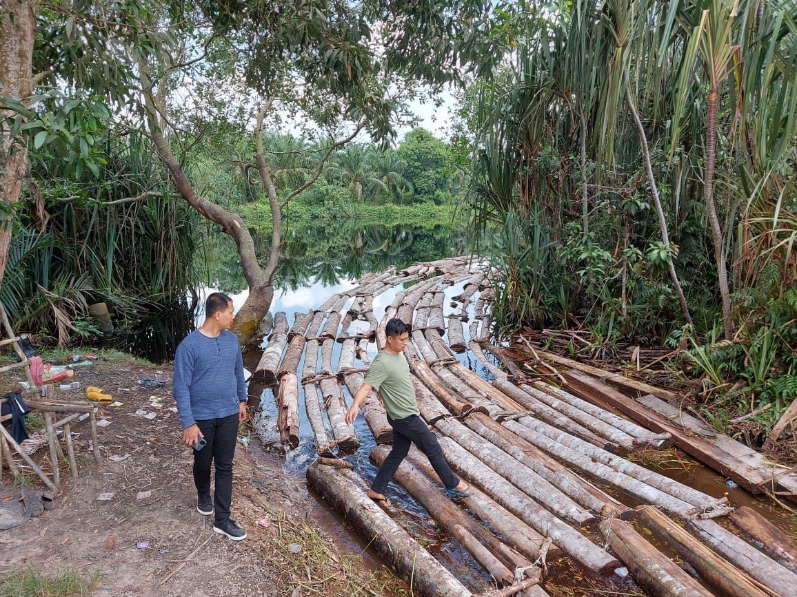 Polda Riau Sita Ratusan Tual Kayu Ilegal di Bengkalis