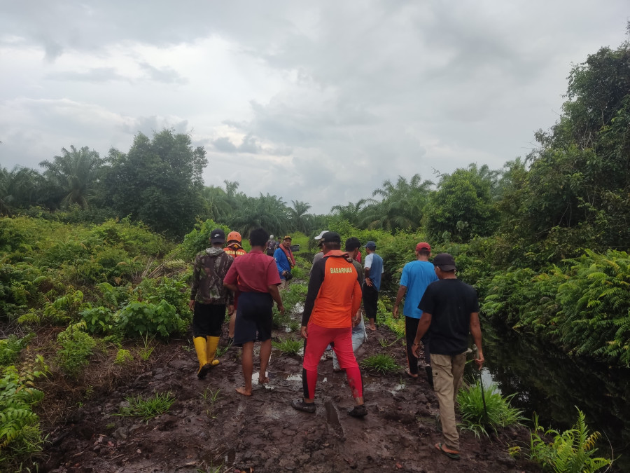 Basarnas Cari Pemuda yang Hilang Diduga Diterkam Buaya di Kota Dumai