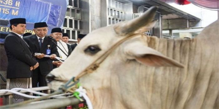 Ketua MUI Tegaskan Kurban Idul Adha Tak Bisa Diganti Uang 