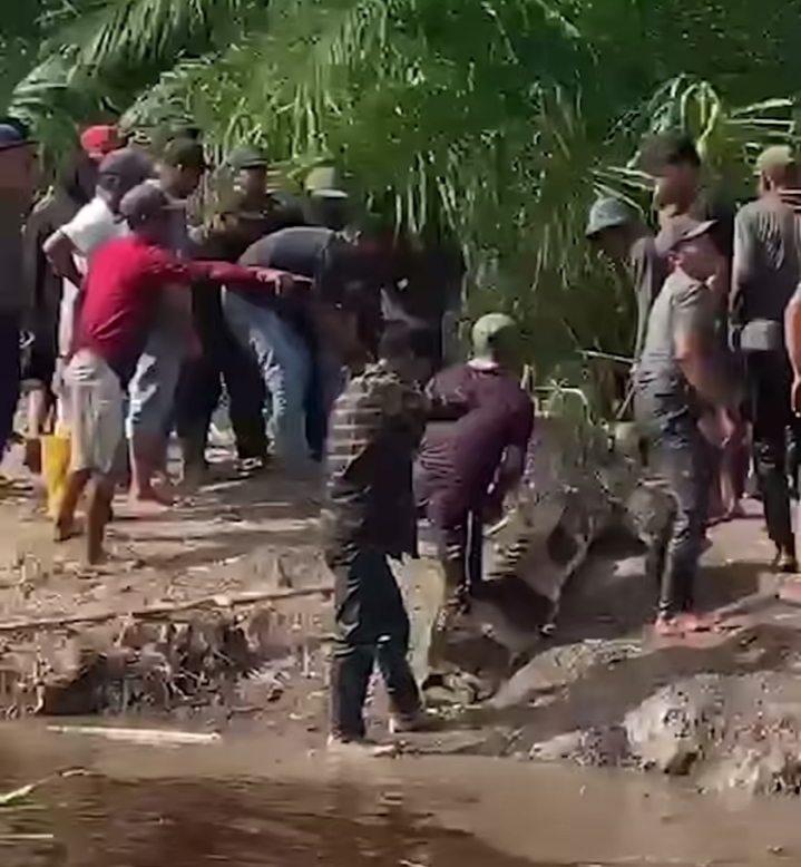 Lansia di Rohil Tewas Dimangsa Buaya saat Memancing di Parit Bekoan