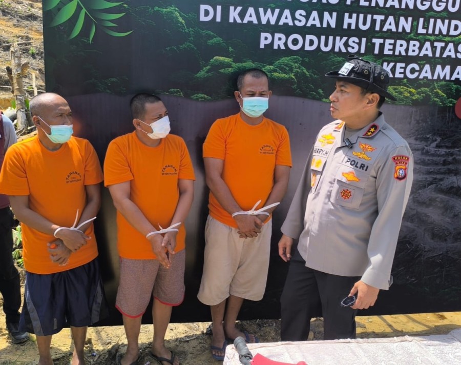 Polda Riau Bongkar Jaringan Perambah  Hutan Lindung di Kampar, 4 Orang Ditangkap