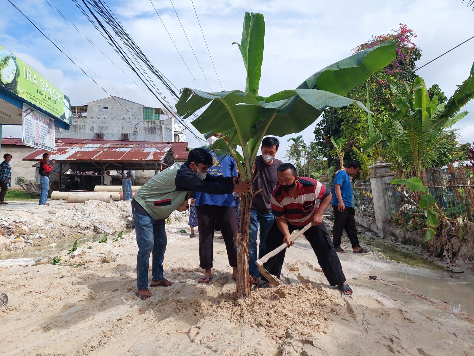 Gerah! Warga Sukajadi Tanam Pohon Pisang di Jalan Rusak Akibat Proyek IPAL