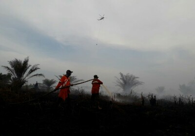 Lahan Gambut di Siak Belum Bisa Dipadamkan Meski Sudah 6 Hari