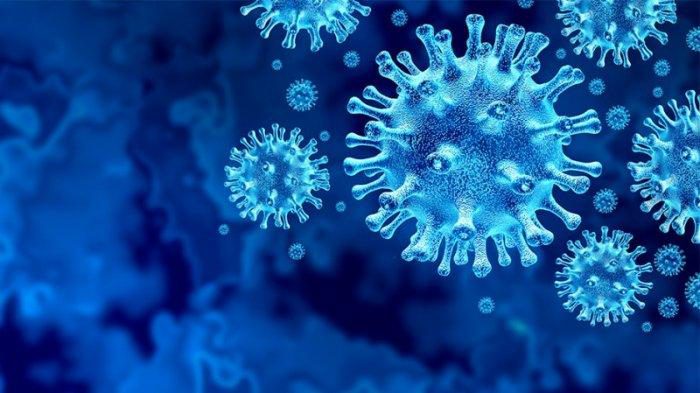 1.006 Orang Warga Siak Sembuh dari Covid-19