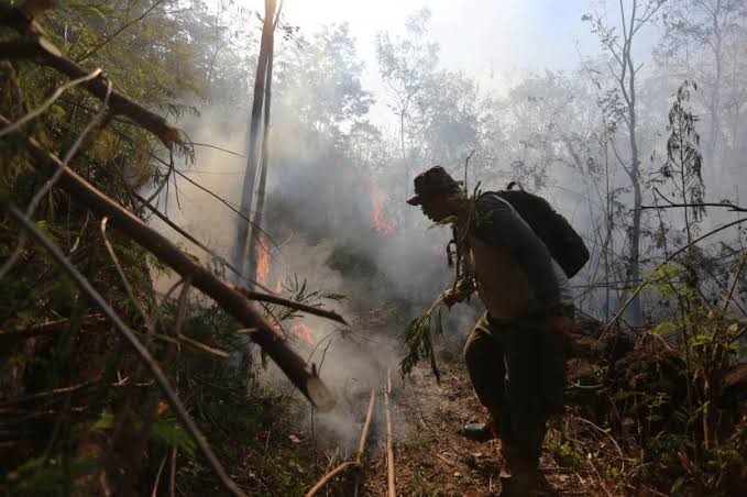 Diguyur Hujan Seharian Hotspot di Riau Nihil, Sumatera 292 Titik