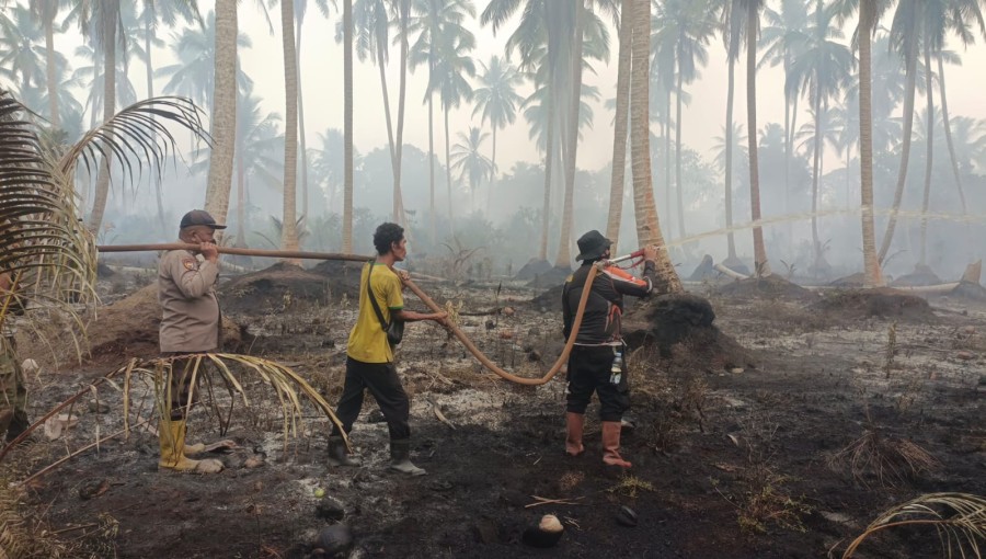 BPBD Riau: Dua Hari Nihil Laporan Karhutla