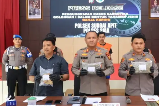 Peredaran Ganja di Siak Terbongkar, Polisi Gerebek Rumah dan Temukan 2 Paket Besar