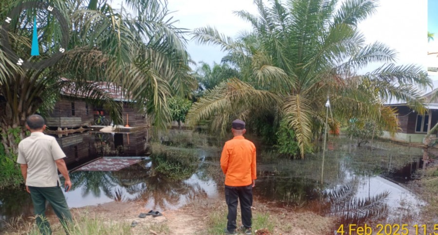 Pasca Banjir di Riau, Endapan Air Masih Genangi Perkebunan Warga