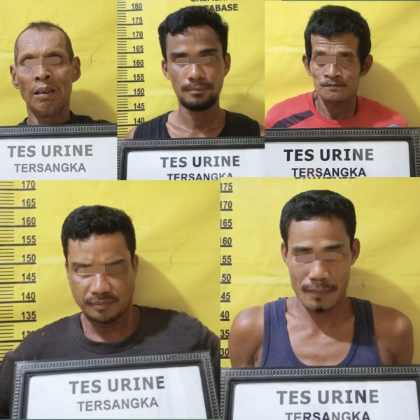 Lima Pria Pencuri Sawit Perusahaan di Rengat Barat Positif Narkoba