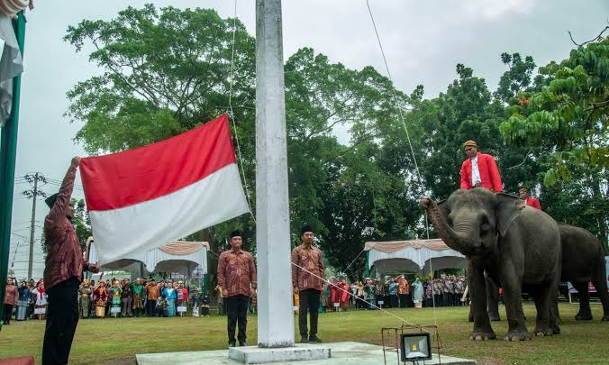 3 Ekor Gajah Ikut Kibarkan Bendera Saat HUT RI ke-78 di BKSDA Riau