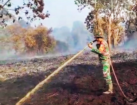 Karhutla di Rohul Proses Pendinginan, Polisi Selidiki Pemilik Lahan